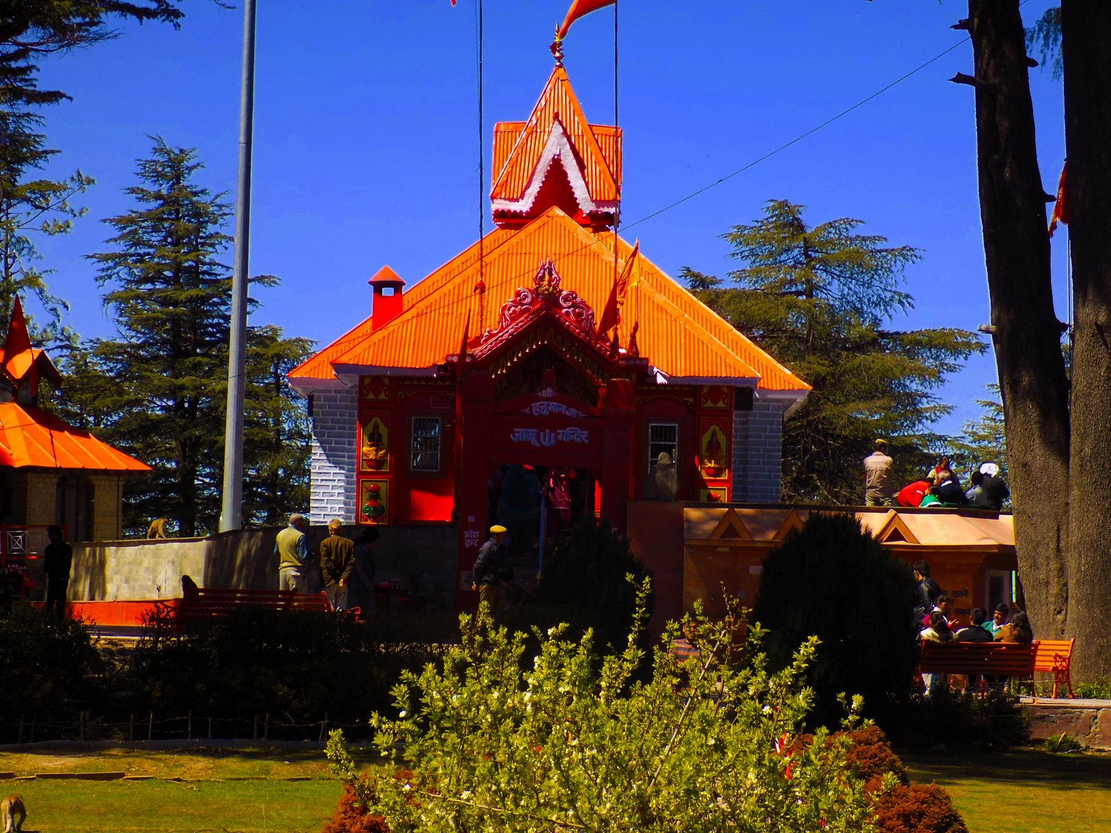 shimla image