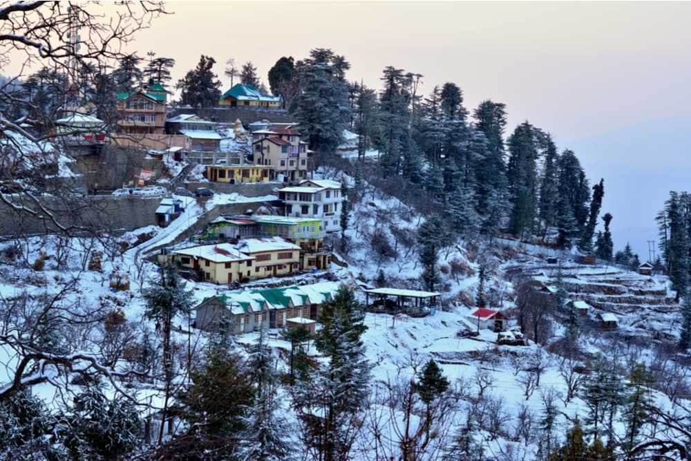 shimla